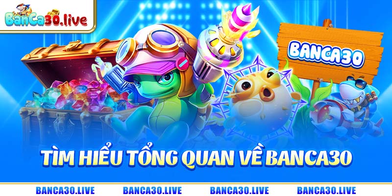 Tìm hiểu tổng quan về banca30