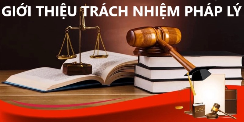 Thông tin khái quát về miễn trách nhiệm pháp lý 