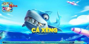 ban-ca-xeng